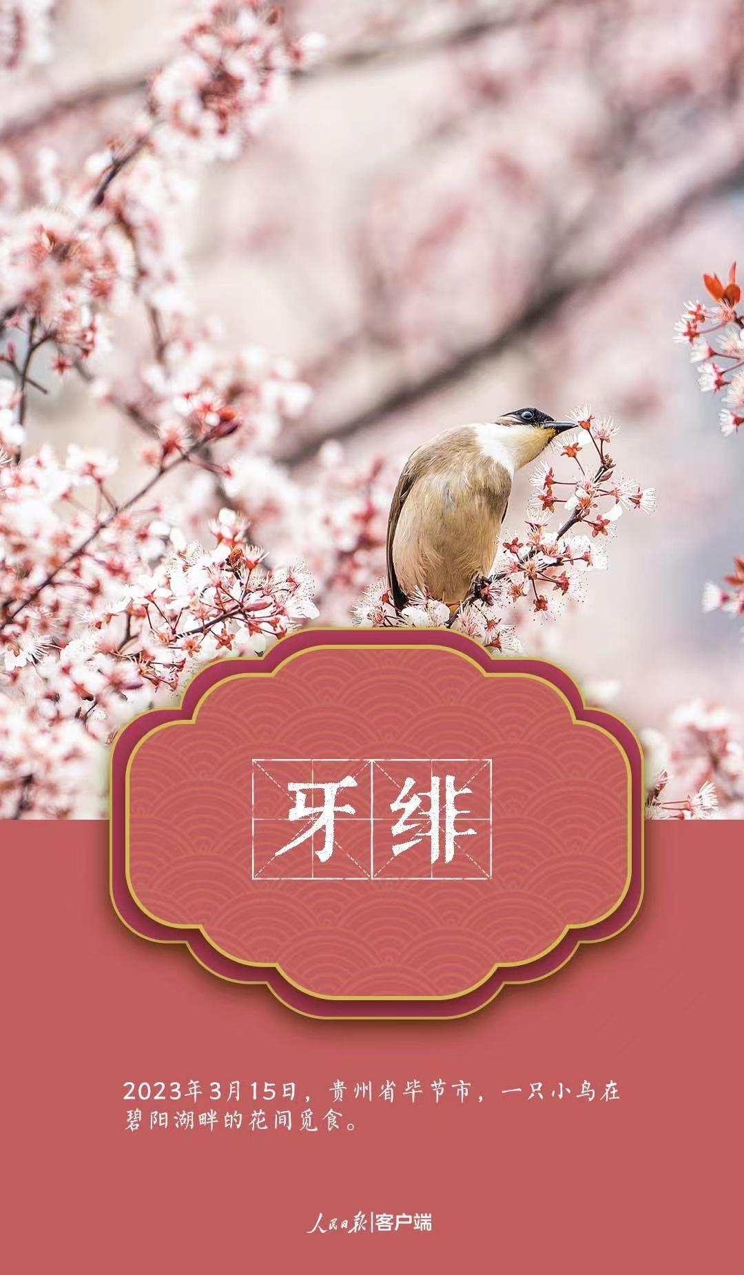 微信圖片_202303222141253.jpg?x-oss-process=style/w10