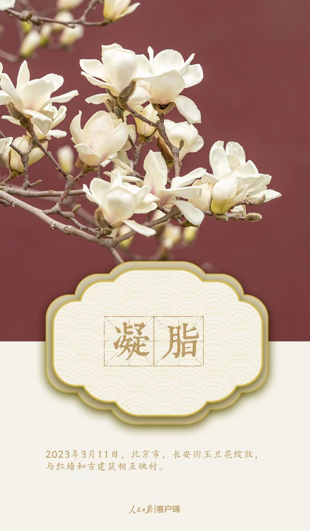 微信圖片_20230322214125.jpg?x-oss-process=style/w10