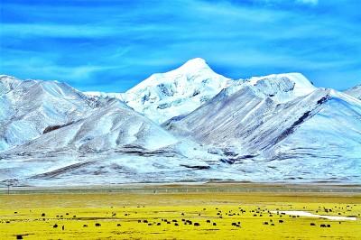 西藏：雪域高原繪出發(fā)展新畫卷